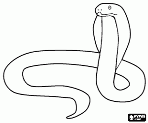 Coloriage Un serpent venimeux, un cobra
