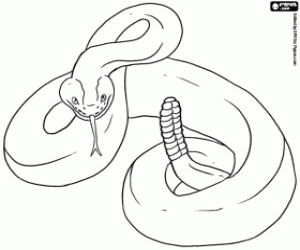 Coloriage Un serpent à sonnettes
