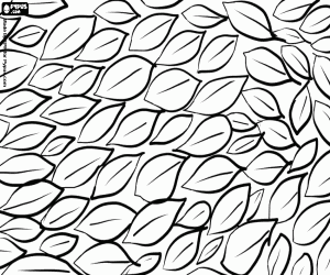 Coloriage Un tapis d’automne