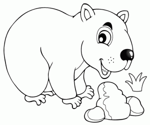 Coloriage Un wombat, un marsupial australien
