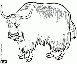 Coloriage Un yak, un boviné d’Asie