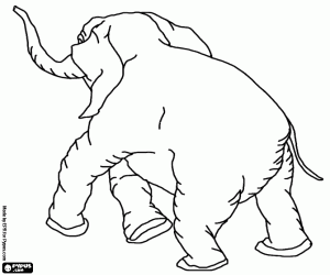 Coloriage Un éléphant adulte par derrière