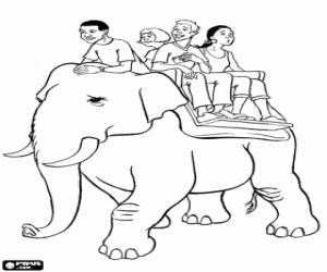 Coloriage Un éléphant comme taxi
