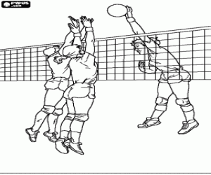 Coloriage Une action dans un match de volley-ball