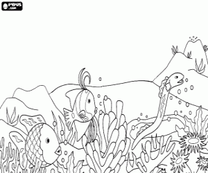 Coloriage Une anguille parmi les autres poissons