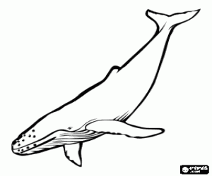 Coloriage Une baleine dans les profondeurs