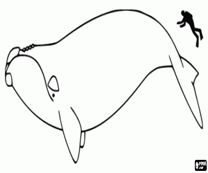 Coloriage Une baleine et un homme 