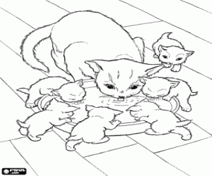 Coloriage Une famille de chats à boire du lait