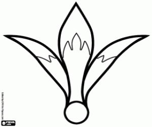 Coloriage Une fleur Amaryllus