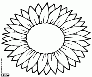Coloriage Une grande fleur à personnaliser