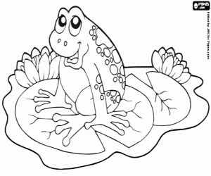Coloriage Une grenouille sur un nénuphar