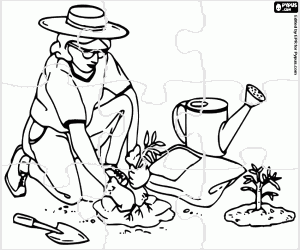 Coloriage Une jardinière avec une plante, puzzle