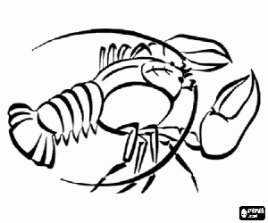Coloriage Une langouste, un crustacé