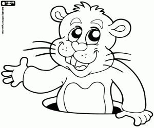 Coloriage Une marmotte canadienne