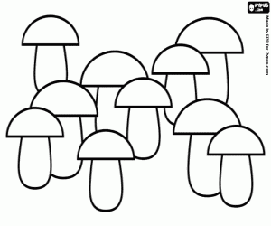 Coloriage Une plantation de champignons