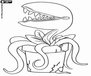 Coloriage Une plante carnivore