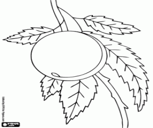 Coloriage Une pêche sur l'arbre