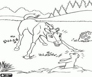 Coloriage Une surprise pour le colt Spirit
