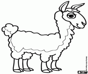 Coloriage Une vigogne des Andes