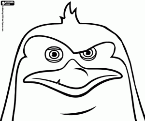 Coloriage Visage de Rico, pingouin peigné