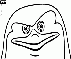 Coloriage Le visage du Skipper