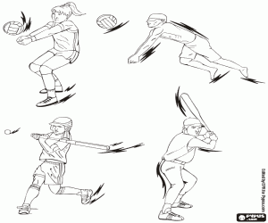 Coloriage Volleyball, baseball et softball
