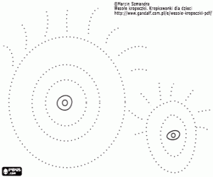 Coloriage Les yeux sur la ligne pointillée