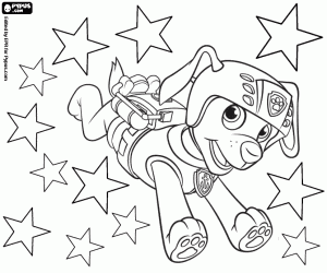 Coloriage Zuma à Noël, Paw Patrol
