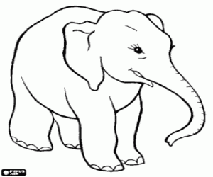 Coloriage Éléphant hereux